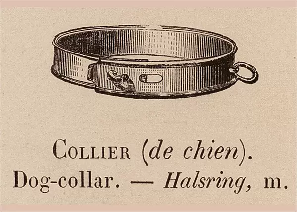 Le Vocabulaire Illustre: Collier (de chien); Dog-collar; Halsring (engraving)