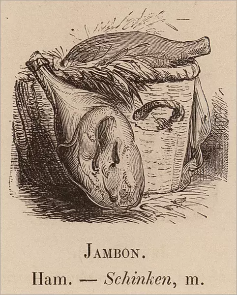 Le Vocabulaire Illustre: Jambon; Ham; Schinken (engraving)