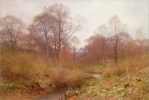 A Wooded River, Landscape Autumn (w  /  c)