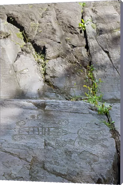 CAMUNI Rock n. 23 with figure of four-wheeled carriage drawn by horses, petroglyphs on Permian sandstone