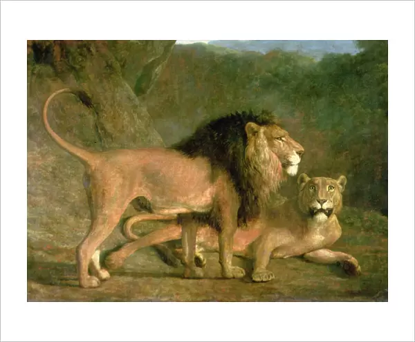 A Lion and a Lioness in a Rocky Valley (oil on canvas)