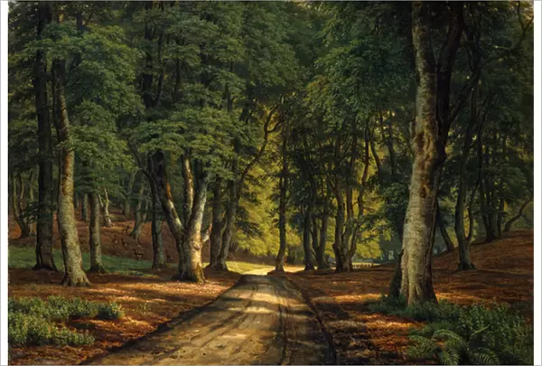 A Wooded Landscape with Deer (oil on canvas)