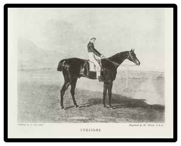 Pericles, foaled 1809 (b  /  w photo)