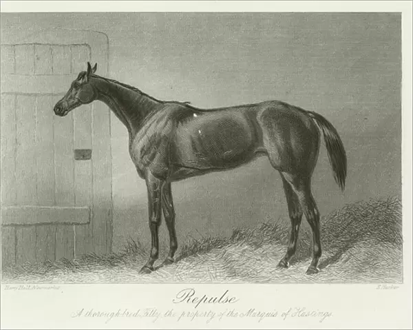 Repulse, foaled 1863 (b  /  w photo)