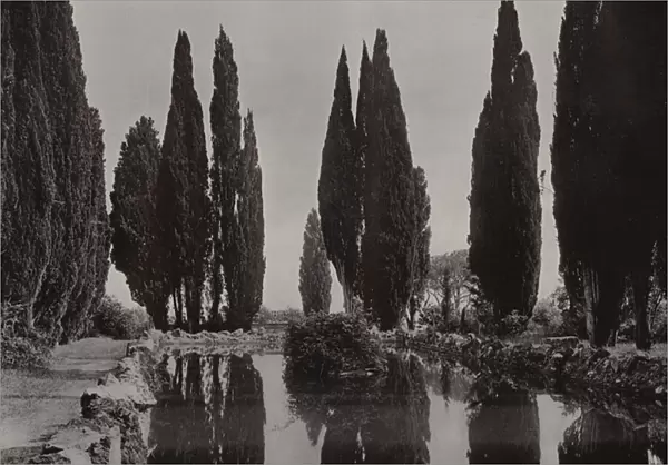 Villa Falconieri, Frascati, Mirrored Cypresses (b  /  w photo)