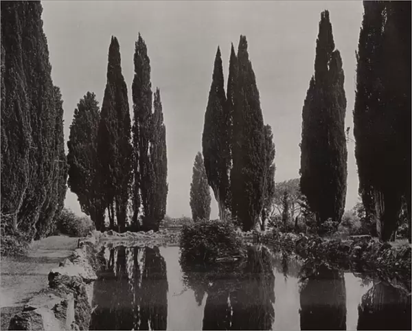 Villa Falconieri, Frascati, Mirrored Cypresses (b  /  w photo)