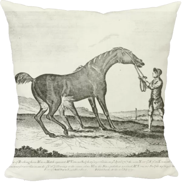 Pilgrim, foaled 1762 (b  /  w photo)