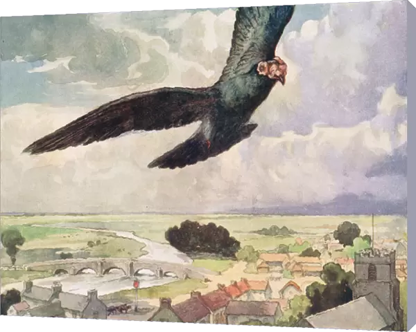 Bird flying over a town, illustration from Helpers Without Hands by Gladys Davidson, published in 1919 (colour litho)