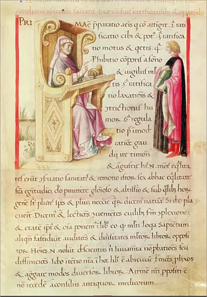 Ms 3054 fol. 1 Presentation of the book, from Tacuinum Sanitatis (vellum)