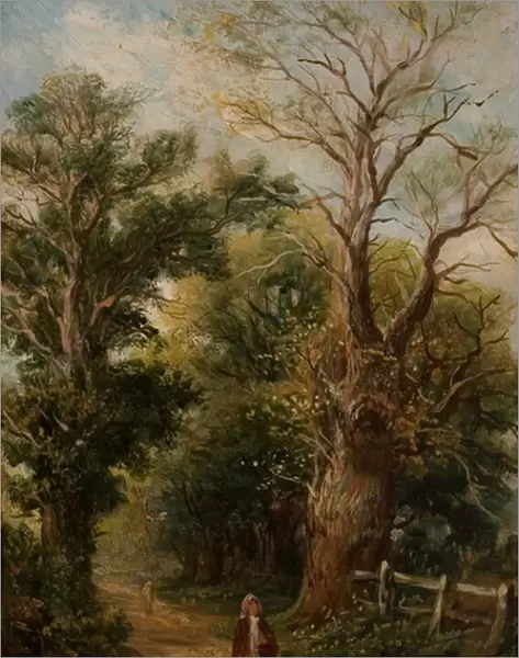 Country Lane, perhaps Church Lane, Allesley, c. 1880 (oil on canvas)