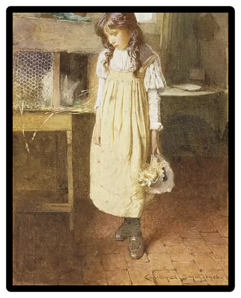 The Pet Rabbit, 1906 (pencil and watercolour heightened with white)