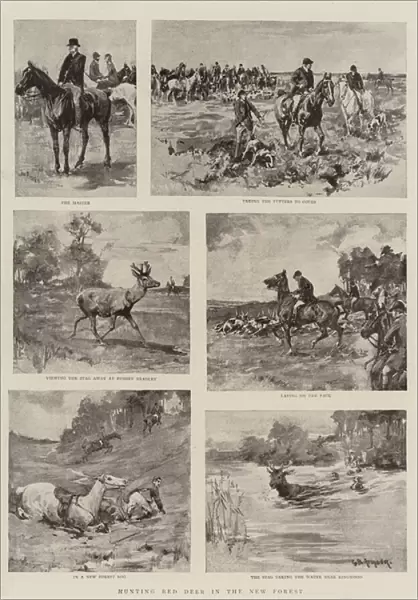 Hunting Red Deer in the New Forest (litho)