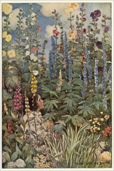 The Flowers (colour litho)