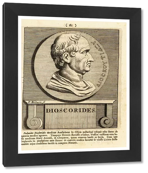 Pedanius Dioscorides, Greek physician, pharmacologist, botanist, 1795 (engraving)