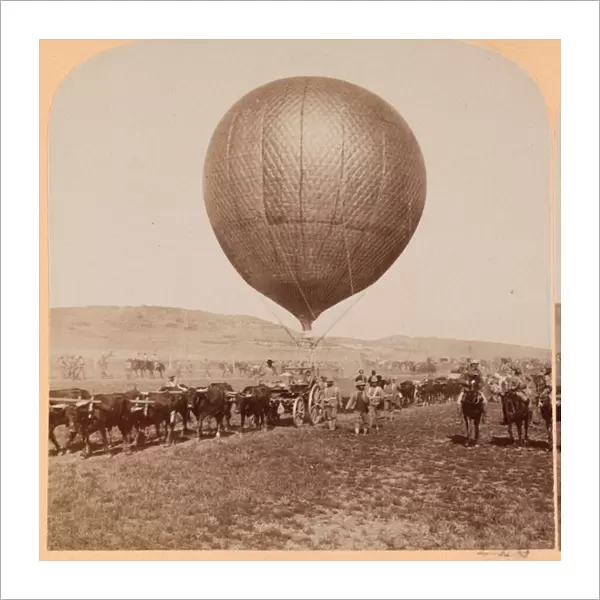 Balloon Corps Transport, South Africa, 1899 (b  /  w photo)