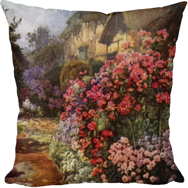 Phloxes and Tall Standards of Dorothy Perkins Rose at Ann Hathaways Cottage, Stratford-on-Avon (colour litho)