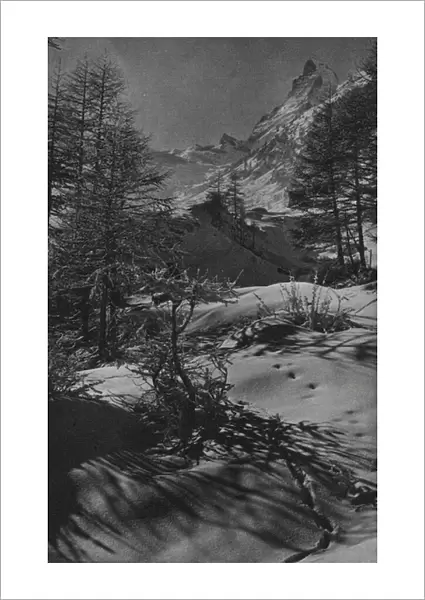 The Alps: In the Vispthal near Zermatt (b  /  w photo)