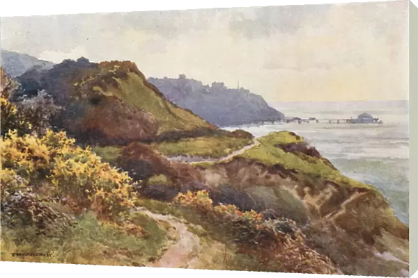 Ventnor from the Steephill Walk (colour litho)