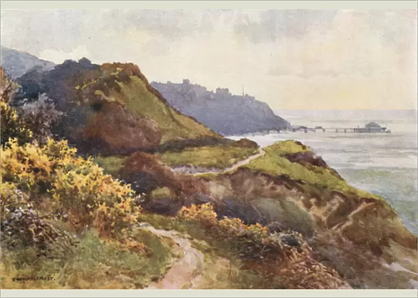 Ventnor from the Steephill Walk (colour litho)