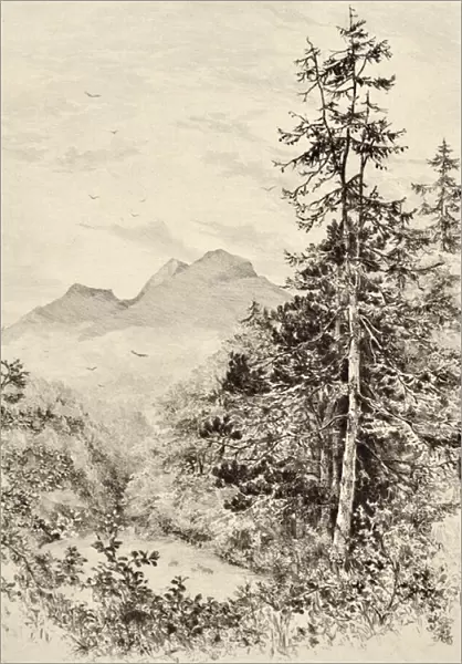 The Tweed: The Eildon Hills, c. 1880 (etching)