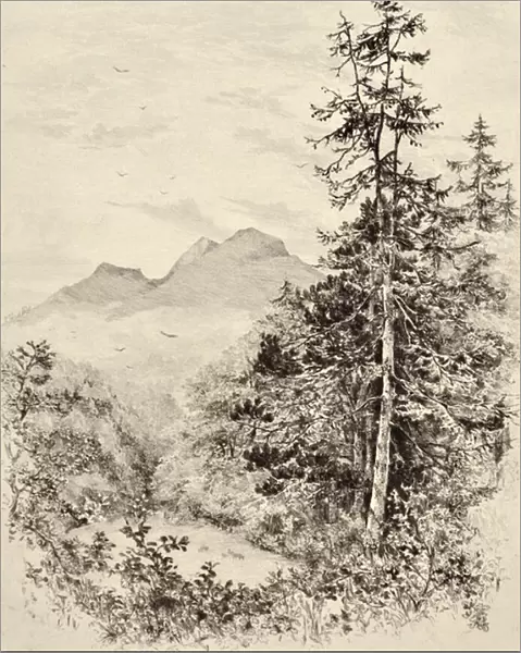 The Tweed: The Eildon Hills, c. 1880 (etching)