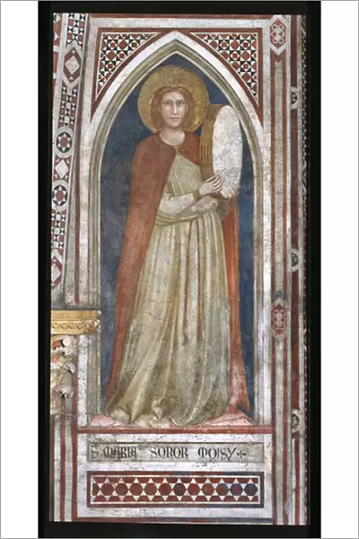 Chapel of the Magadalene, the north wall: Miriam, Moses sister, 1307-08 (fresco)