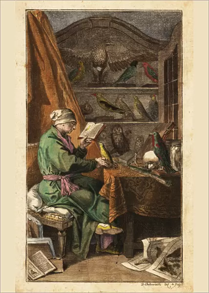 German ornithologist in his study, 18th century. 1772 (engraving)