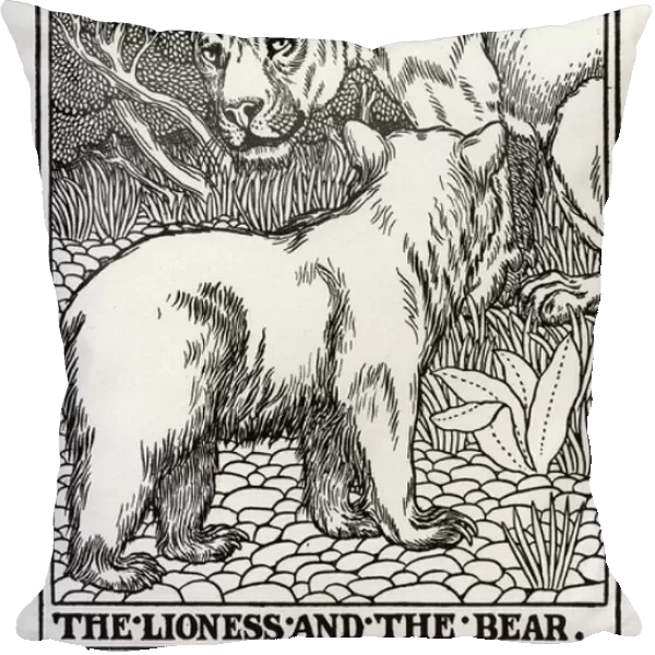 La Lionne et l Ourse - The Lioness and the Bear (Collection 2, Book 10, fable 12) - engraving from 'A Hundred Fables of La Fontaine'Illustrated by Percy J. Billinghurst (1871-1933) - 1899