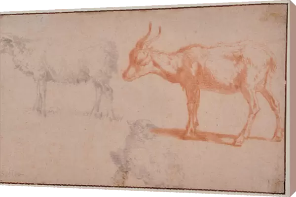 Two Sheep and a Goat (animal studies), 1625-54 (Chalk)
