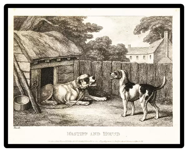 A fox hound berating a mastiff chained to a kennel. 1811 (etching)