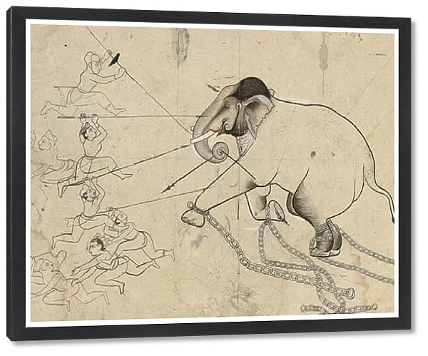 Isarda or kotah preparatory drawing of the taming of an elephant, c. 1720 (ink & gouache on paper)