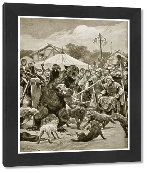 Bear Baiting in Saxon Times, illustration from Hutchinsons Story of the British Nation, c. 1920 (litho)