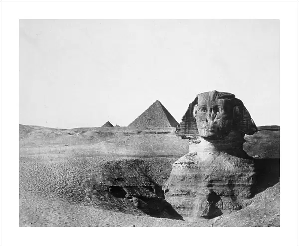 The Sphinx with Pyramids in the background, 1852 (b  /  w photo)