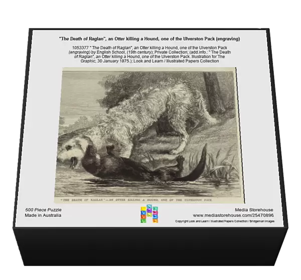'The Death of Raglan', an Otter killing a Hound, one of the Ulverston Pack (engraving)