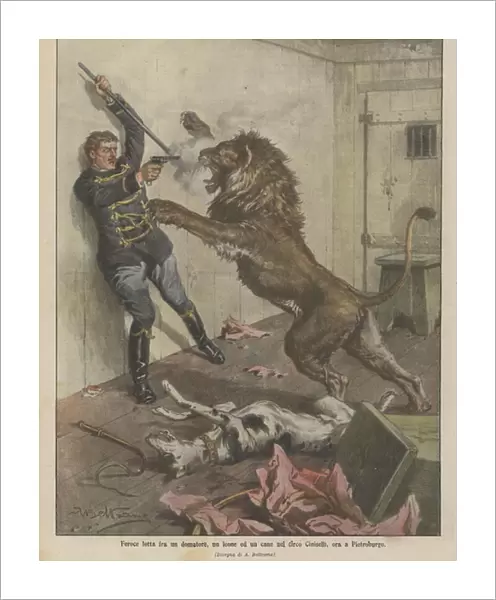 Fierce fight between a tamer, a lion and a dog in the Ciniselli Circus, now in Petersburg (colour litho)