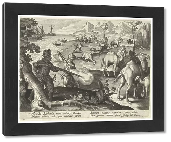 Sailors in a horrid barbarian country kill camels with muskets to relieve their hunger, illustration from Venationes, Ferarum, Avium, Piscium (Of Hunting: Wild Beasts, Birds, Fish), engraved by Jan Collaert (1566-1628), pub