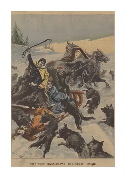 A wedding party devoured by wolves in Hungary (colour litho)