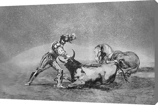 A Spanish knight kills the bull after having lost his horse, plate 9 of The Art of Bullfighting, pub. 1816 (etching)