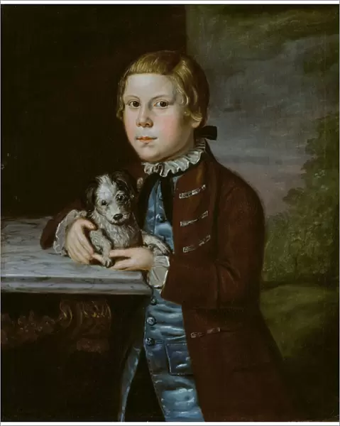 Boy of Hallett Family with Dog, 1766-76 (oil on canvas)