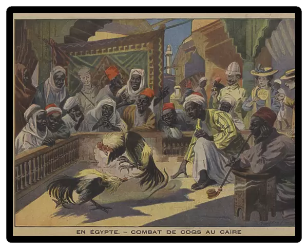 Cock fighting in Cairo (colour litho)