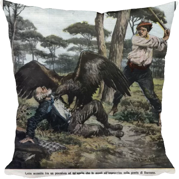 A man attacked by an eagle in the Ravenna region of Italy in 1910. Illustrazione di Achille Beltrame