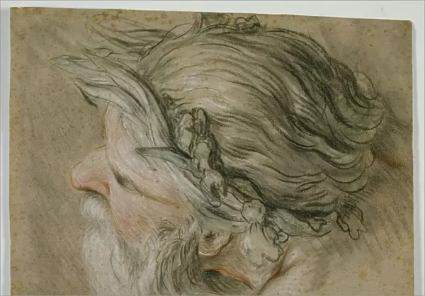 Head of a Sea God, 1730-40 (pastel on gray-brown laid paper)