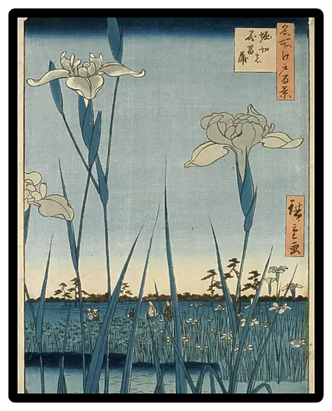 Horikiri Iris Garden, 1857 (woodblock print, with bokashi)
