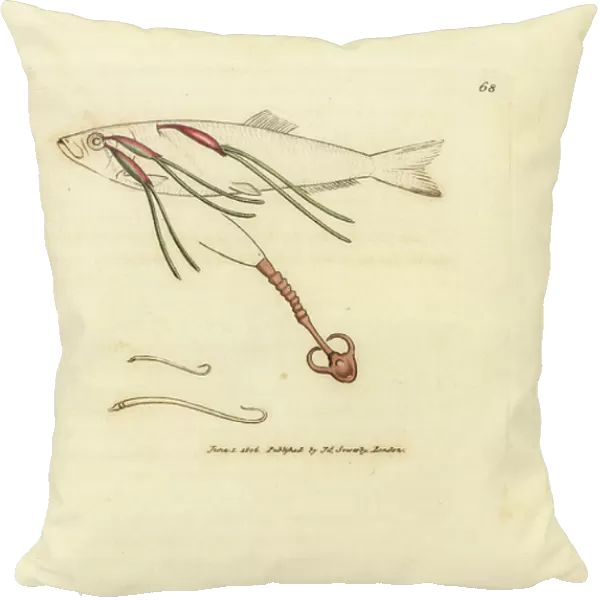 Blood-feeding copepod parasite on a spray's eye, Lernaeenicus sprattae (Lernaea sprattae). And another strange worm found on an oyster shell. Handcoloured copperplate engraving by James Sowerby from The British Miscellany