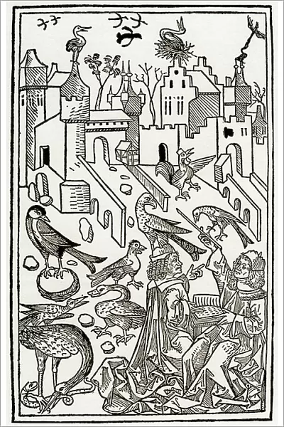 Zoology lesson: birds, 1491 (wood engraving)