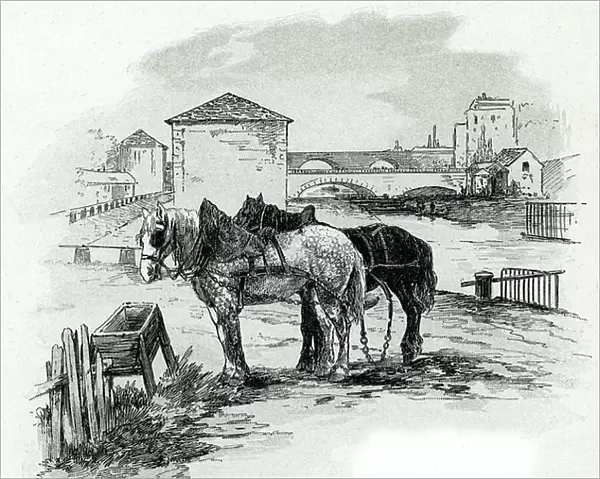 Horses de haulage, quai de la Gironde, Villette (Horses used for towing the boats of the canal saint-denis, quai de la gironde, Villette Paris) Drawing by Gustave Fraipont (1849-1923) from Saint-Juirs, 1890 Collection privee