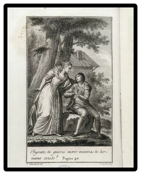 Illustration for Rene written by Chateaubriand, 19th century (engraving)