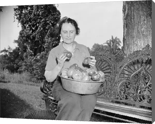 Director of the Mint Nellie Tayloe Ross relaxes on her Maryland farm, 1938 (b / w photo)