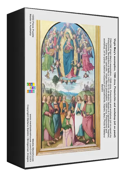 Virgin Mary's assumption, 1508 circa, Pinturicchio and workshop (oil on panel)