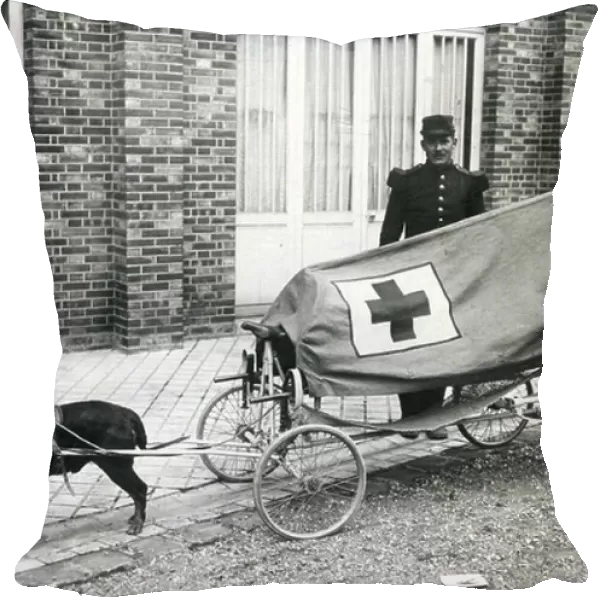 A stretcher on four wheels pulled by a dog, 1913 (b / w photo)